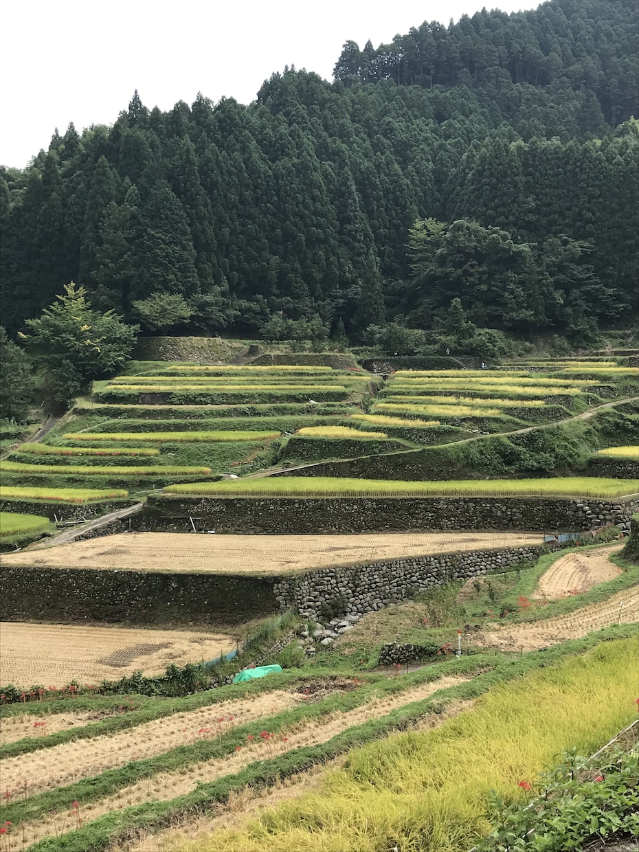 心が疲れた時あなたのお話なんでも親身になり聞きます どんな悩みでも大丈夫です。一緒に前に進みましょう。 イメージ2
