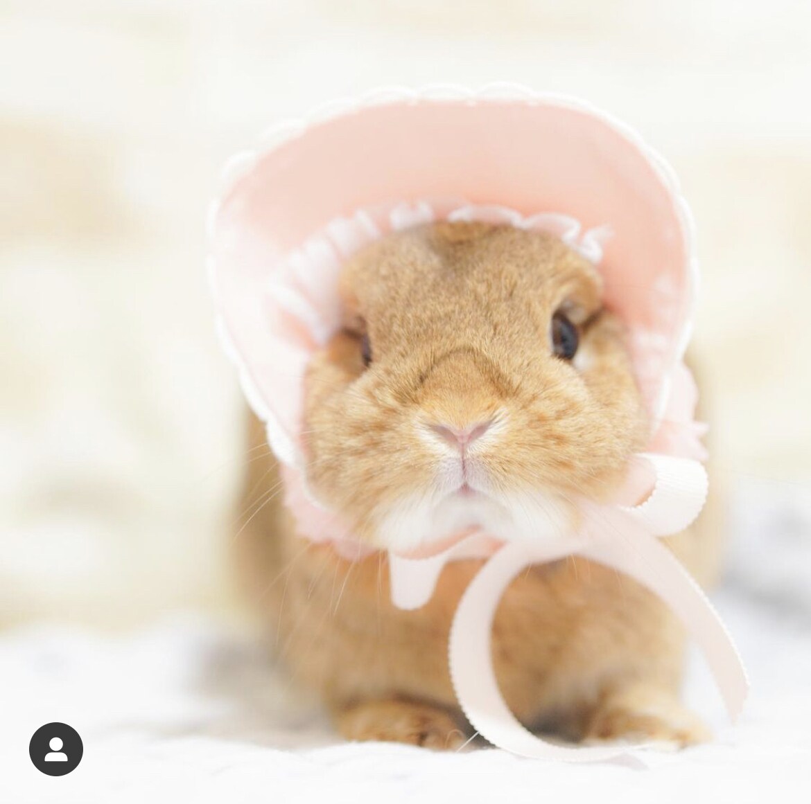 あなたの心に寄り添います あなたのお悩みが解決するまでお力添えさせてください！ イメージ1
