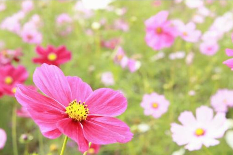 どんな愚痴でも聞きます 誰かに話を聞いてもらうと楽になることがありますよね イメージ1