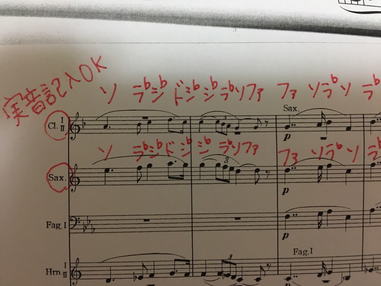 楽譜の音読みお手伝い ドレミ記入や移調します 楽譜を読むのが苦手でも音楽を楽しみたい方に♪ イメージ3