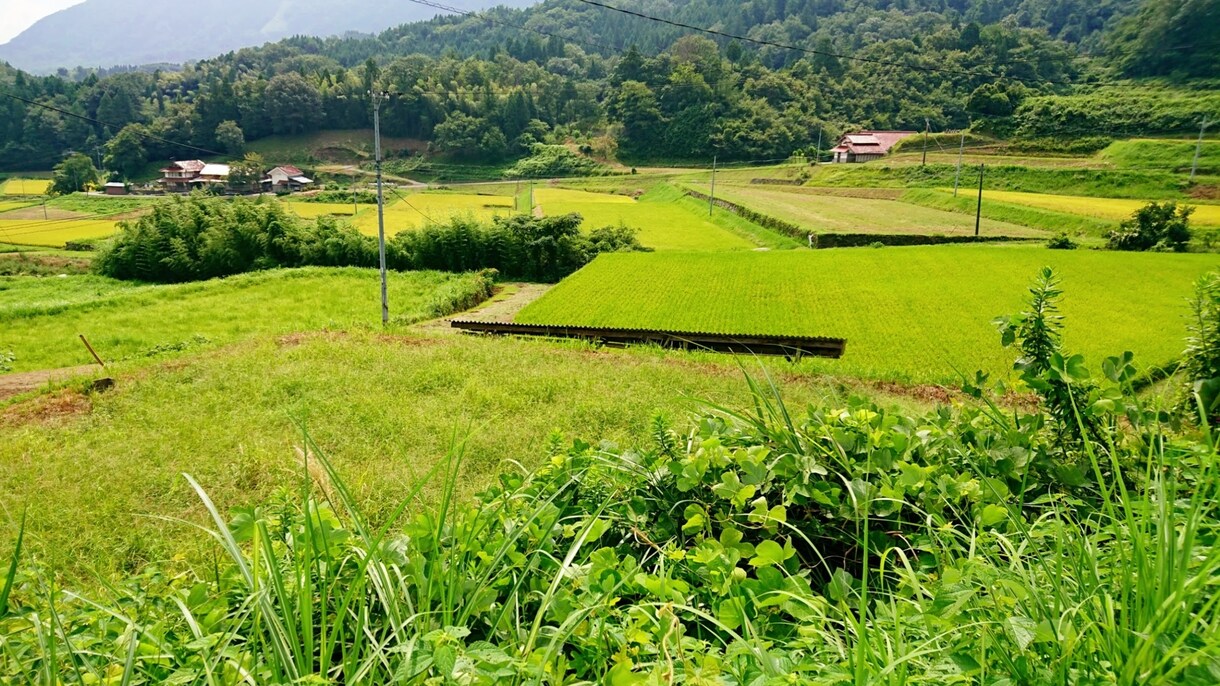 UIターン者/移住限定･地域問わずアドバイスします 田舎生活の理想と現実、両方が分かるからあなたを応援♪ イメージ3
