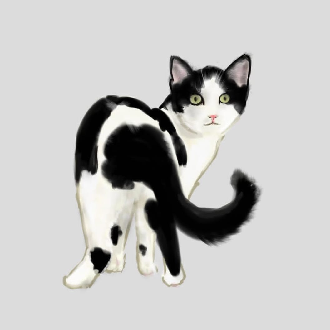 ご自宅で飼われているネコちゃんのイラストを描きます お気に入りの写真をイラスト風に作成しませんか？ イメージ1