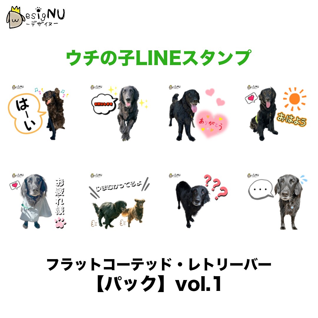 ウチの子LINEスタンプ 作ります 日常のトークをもっと楽しく、個性的に彩ろう！ イメージ9