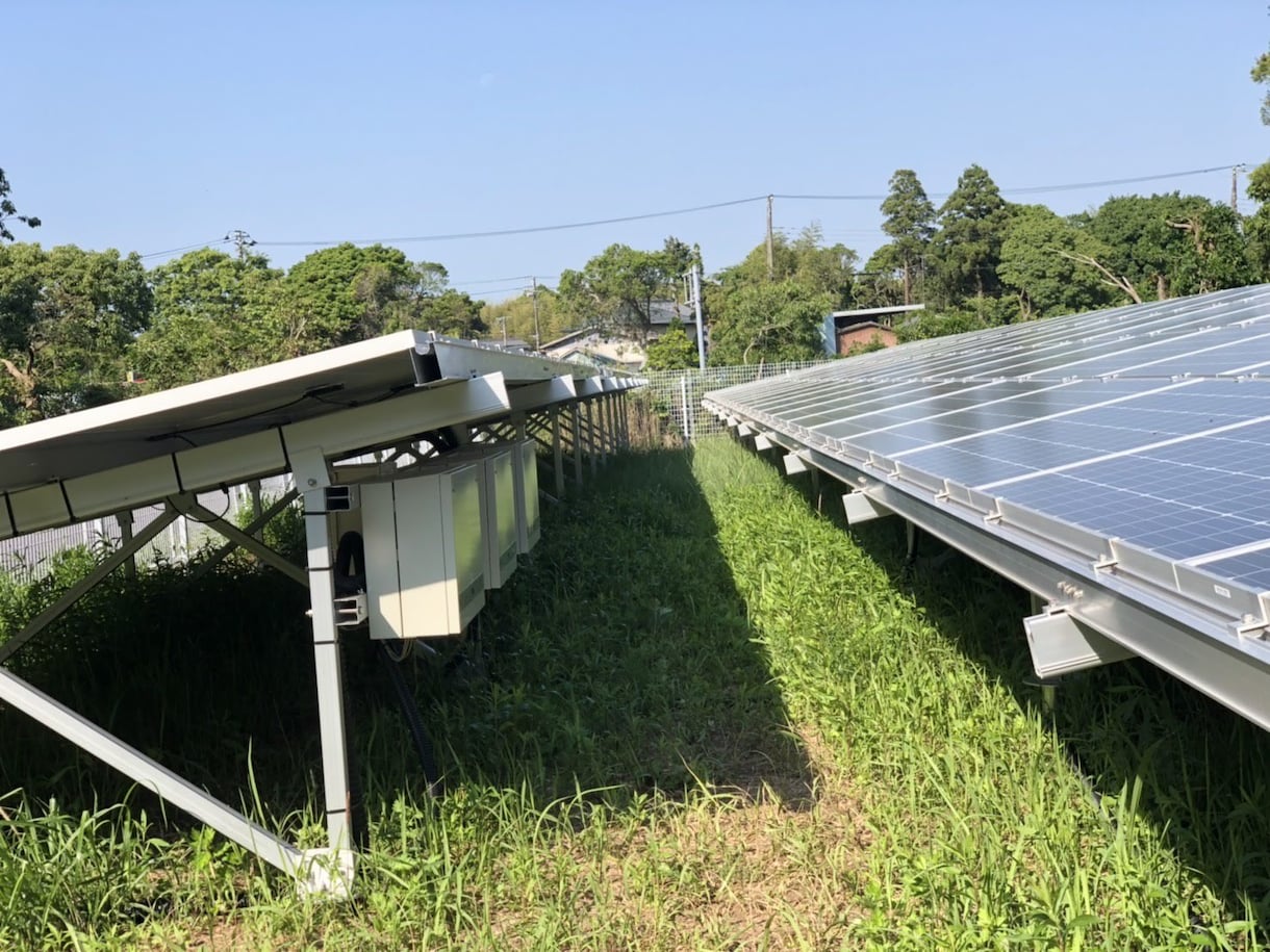 産業用低圧太陽光発電所の除草作業を行います 年3回、都度写真報告付きなので安心です イメージ7