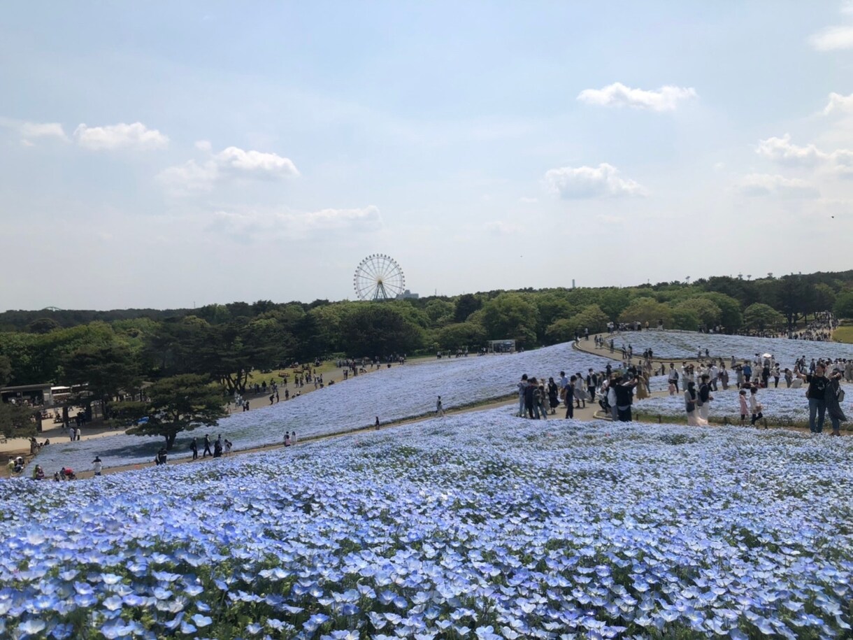 ありとあらゆる愚痴悩み相談を聞きます 人に悩みに大きも小さいもない！ イメージ1