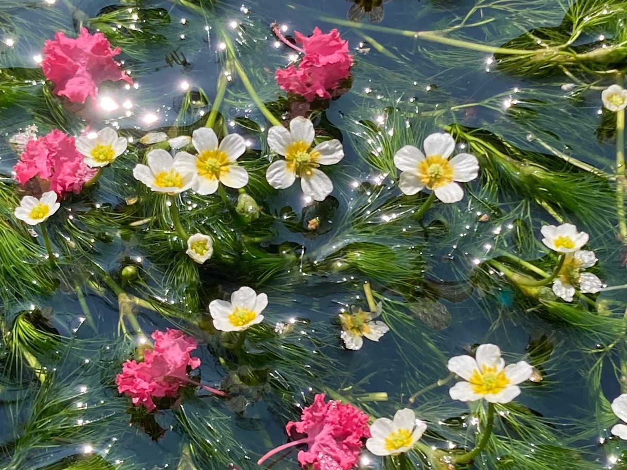 お悩みのある方お話し聞きます 芸能活動のお悩みを、長年の現場経験から本音でアドバイスします イメージ2