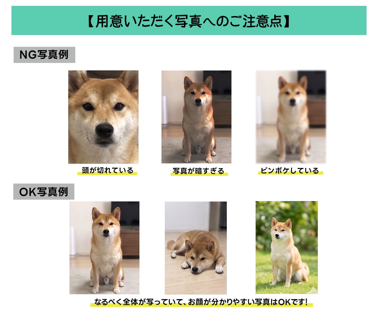 写真を送るだけ！ペットのLINEスタンプ作ります 【超簡単！】写真一枚でイラスト作成します！ イメージ10