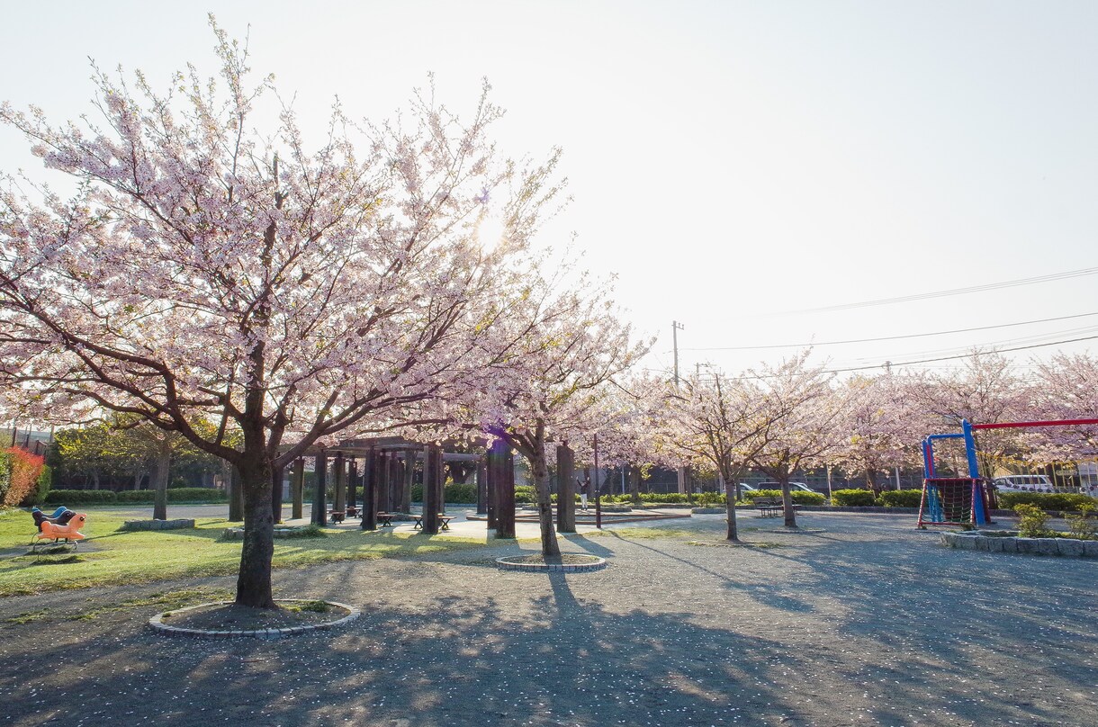 出張写真撮影承ります 見栄えの良い写真素材を用意してHPの魅力を上げませんか？ イメージ10