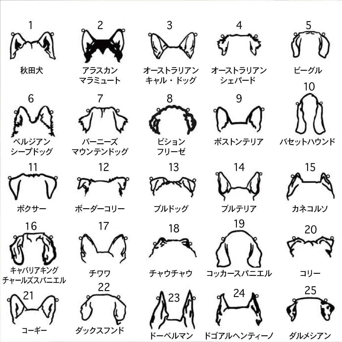 愛犬シルエットのオリジナルネックレスを制作します ご褒美、プレゼントなどに最適で愛犬の名前をお入れします！ イメージ4