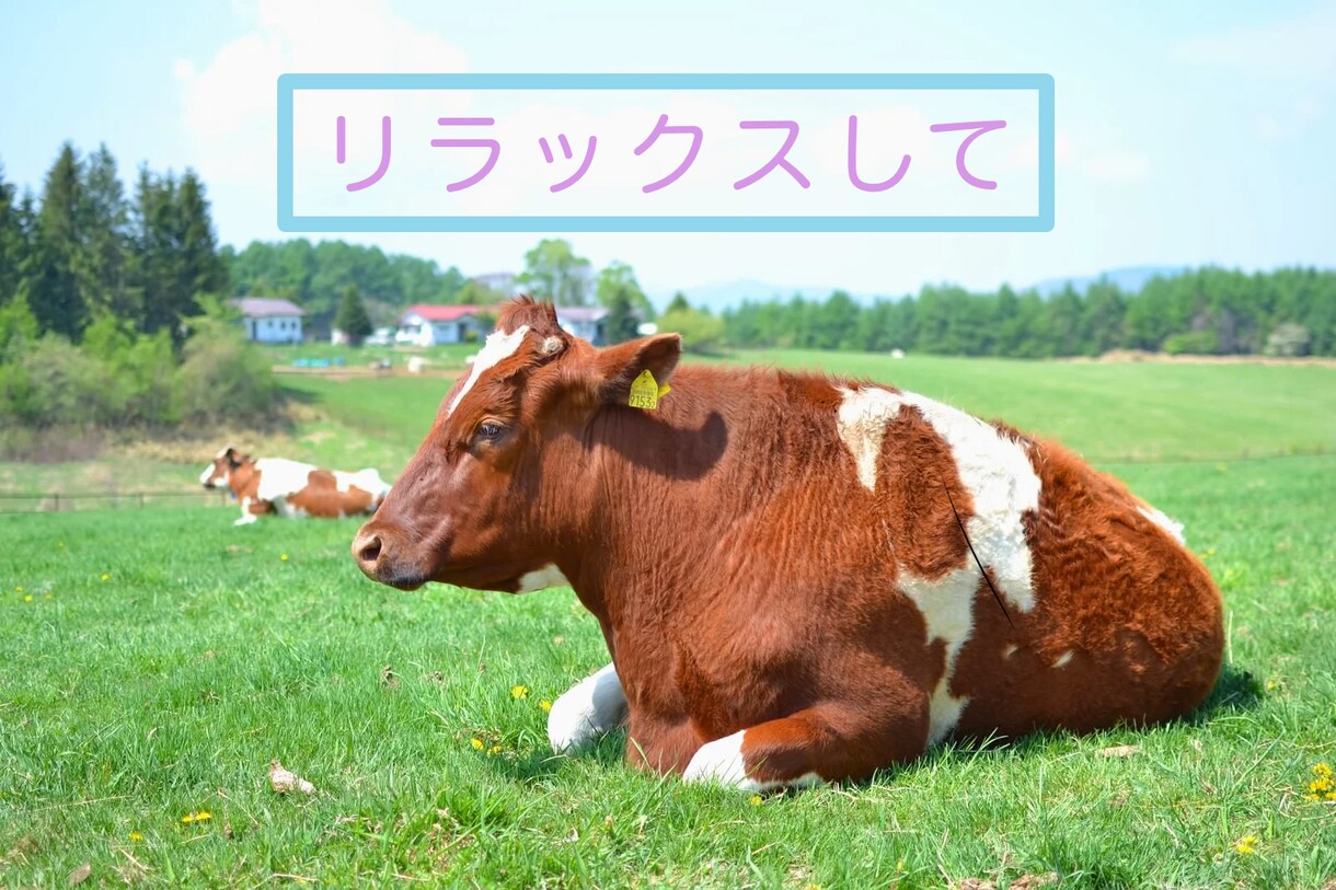 一言でも大丈夫！あなたの気持ちお聞きします 優しく、穏やかに寄り添います。どんな些細なことでも大丈夫！ イメージ3