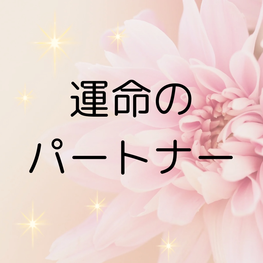 運命のパートナーと話せます あなたの運命のパートナーからのメッセージを受けとりませんか？ イメージ1
