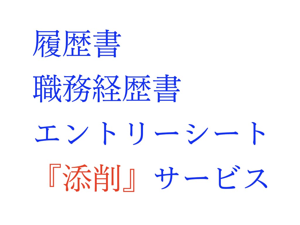 職務経歴書（履歴書・ESもOK）作成・添削します 1,000人以上の転職支援実績（国家資格保有） イメージ1