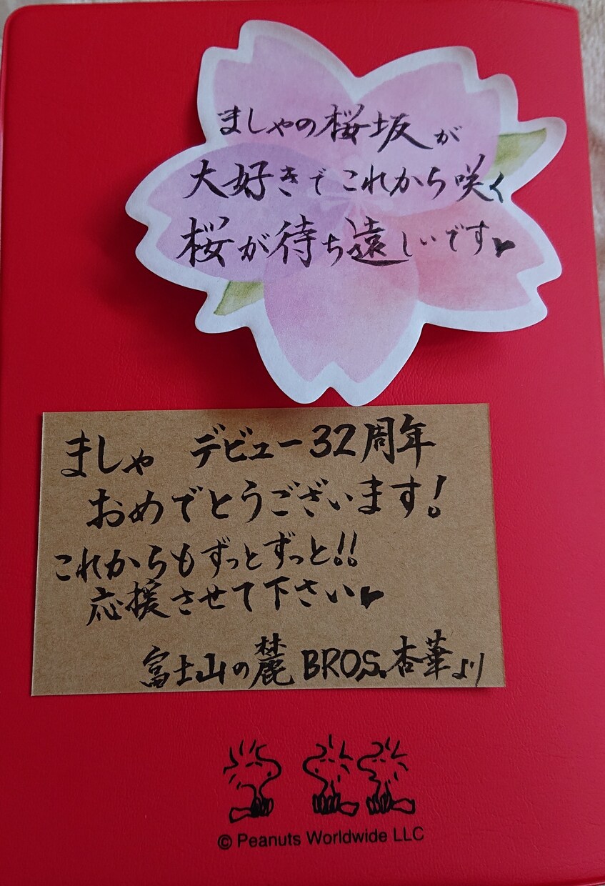 席次に封筒の宛名書き、メニューをお書きします 席次の名前、漢字だけでなく英字も書きます イメージ3