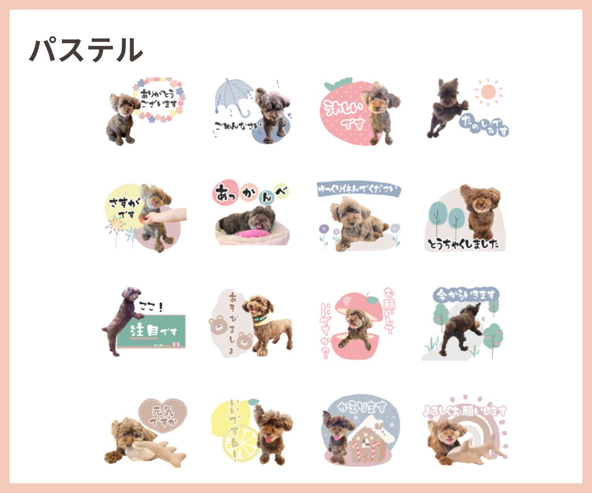 お写真から、オリジナルLINEスタンプ作成します ペット、お子さまなど大切な写真でスタンプを作ってみませんか？ イメージ2