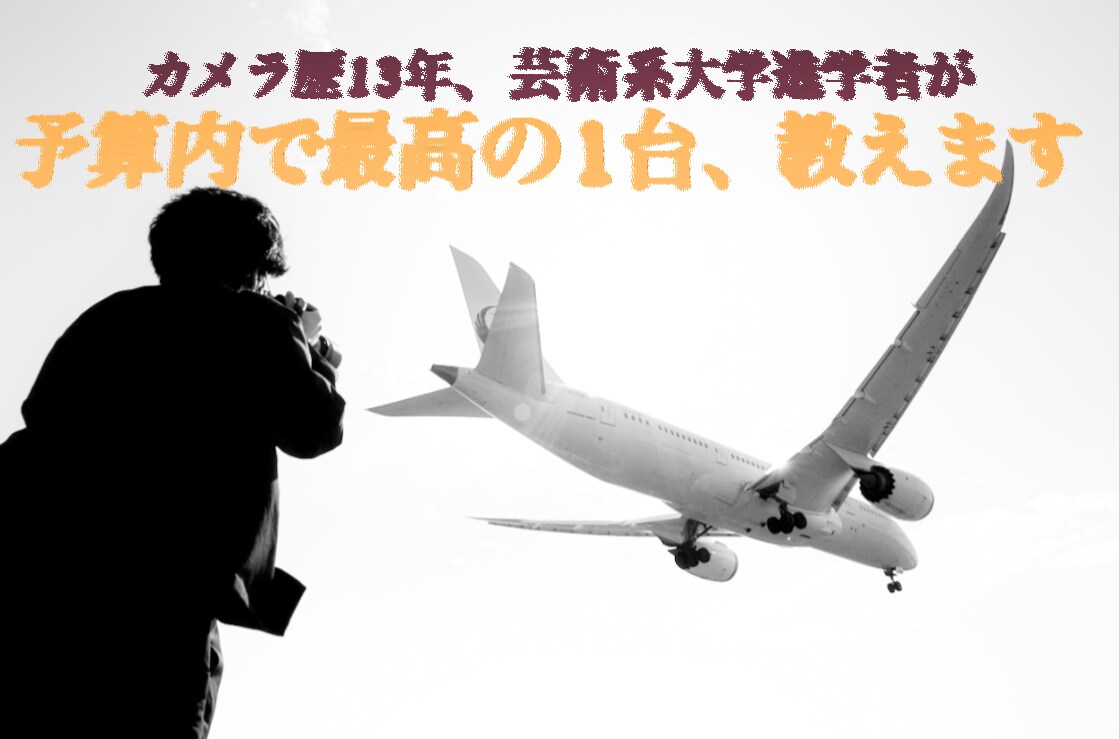カメラ歴13年が機材選びと設定を教えます 予算や撮りたいモノに合わせて最適なカメラ・レンズを提案します イメージ1