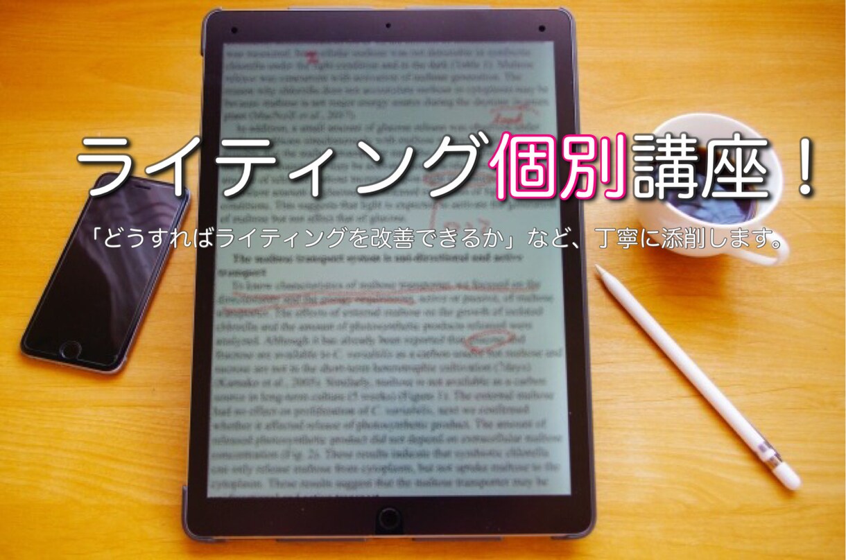 ライティングお試し個別講座｜個別に添削指導します ライター初級・中級向け｜書く・稼ぐスキルを身に付ける！ イメージ1