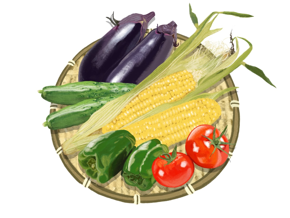 新鮮な野菜果物イラスト｜温かいタッチで制作します レシピ本・メニュー・パッケージ用食品イラストを制作します イメージ2