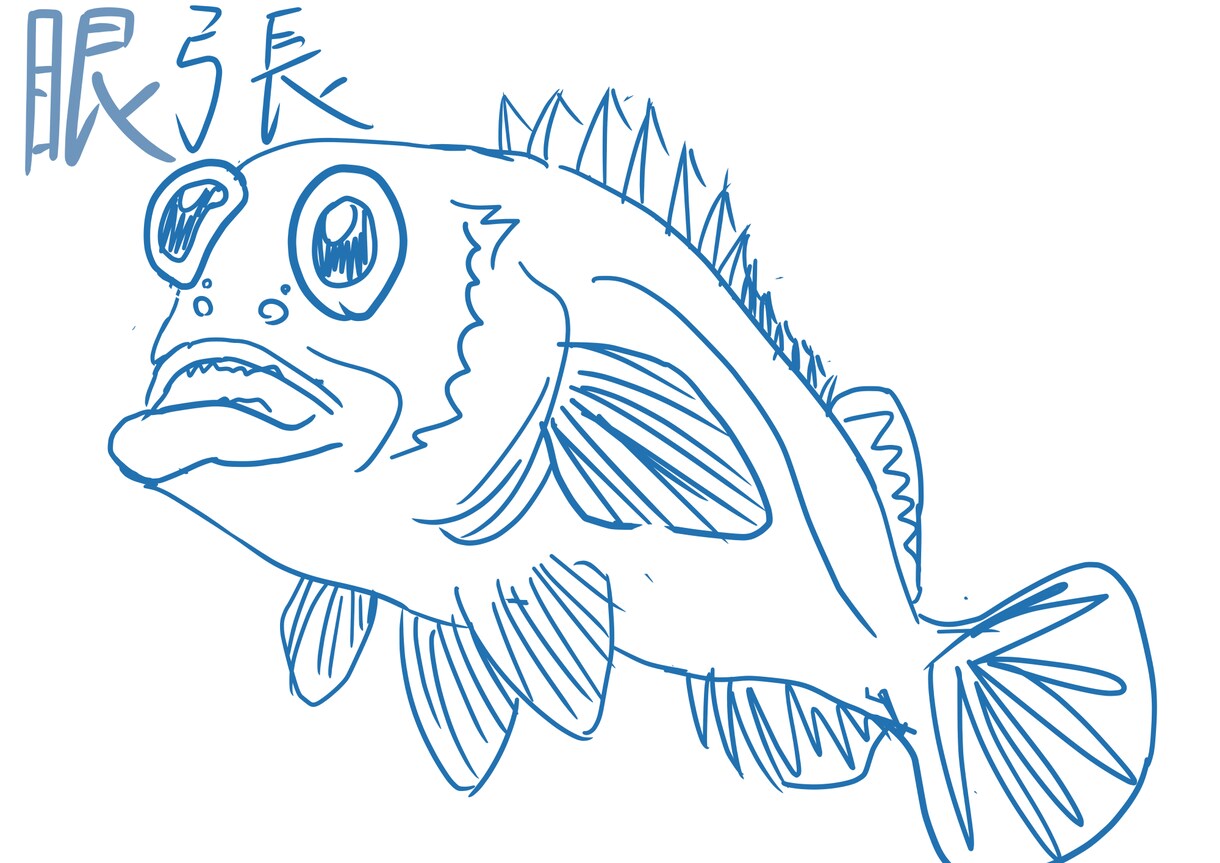元水族館飼育員が水生生物のイラスト描きます イラスト、解説版、SNSのアイコン等に イメージ3