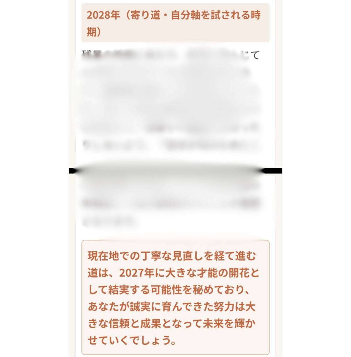 １２年バイオリズムで自分軸を再構築します 過去・現在・未来５年間の個別ロ－ドマップをPDFでお届け イメージ3