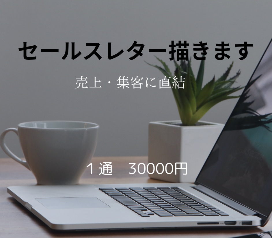 売上・集客を最大化するセールスレターを執筆します 感情ライティングで顧客の心を鷲づかみにする文章術 イメージ1