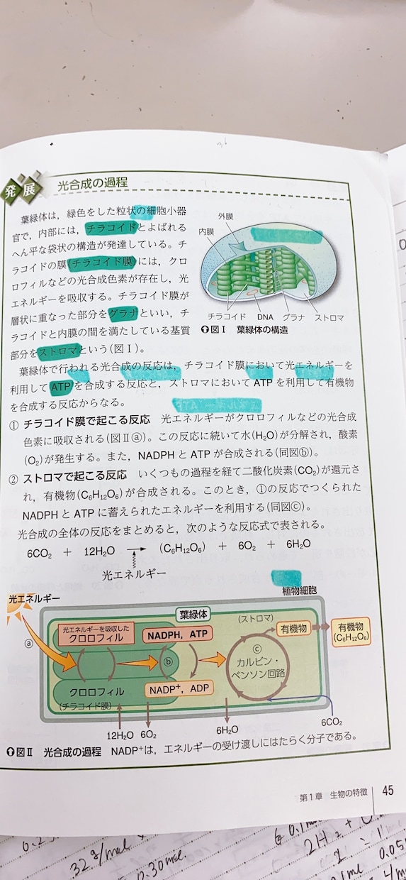 生物基礎、化学基礎を分かりやすく教えます 出来ないことをできるようにしたい イメージ1
