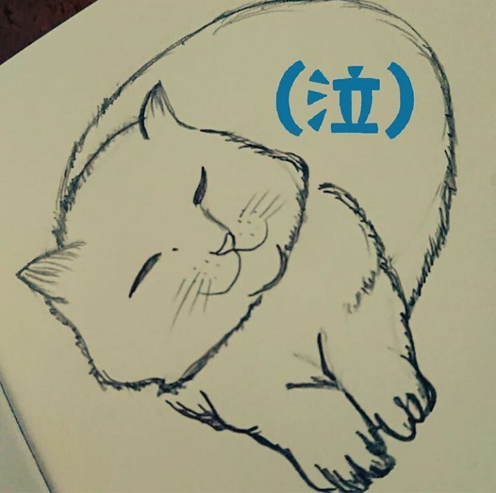 大切な家族である愛猫を描きます アナログイラストで水彩色鉛筆や筆ペンで描いていきます。＾＾* イメージ4