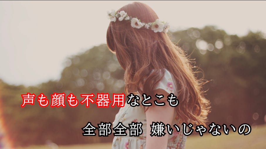 映像or静止画に、カラオケテロップをお付けします サクッと！！カラオケ動画を制作♪ イメージ1