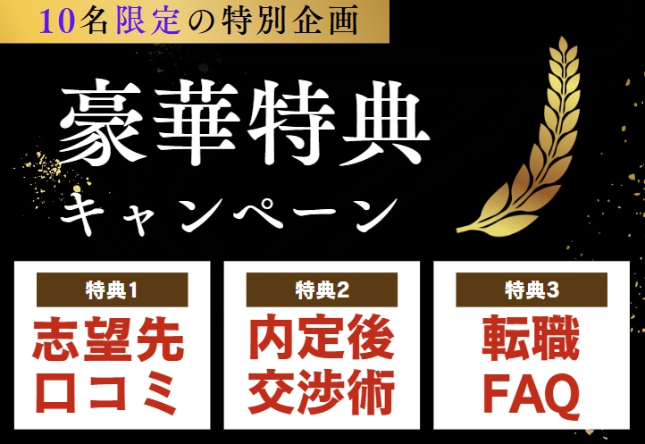会話で簡単！　２日で職務経歴書・履歴書を作成します 数多くの業界や内定を複数得たノウハウを駆使し、強みを言語化！ イメージ2
