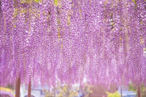 あなたの心、助けます 自分の心を整理したいと思っているあなたへ イメージ2