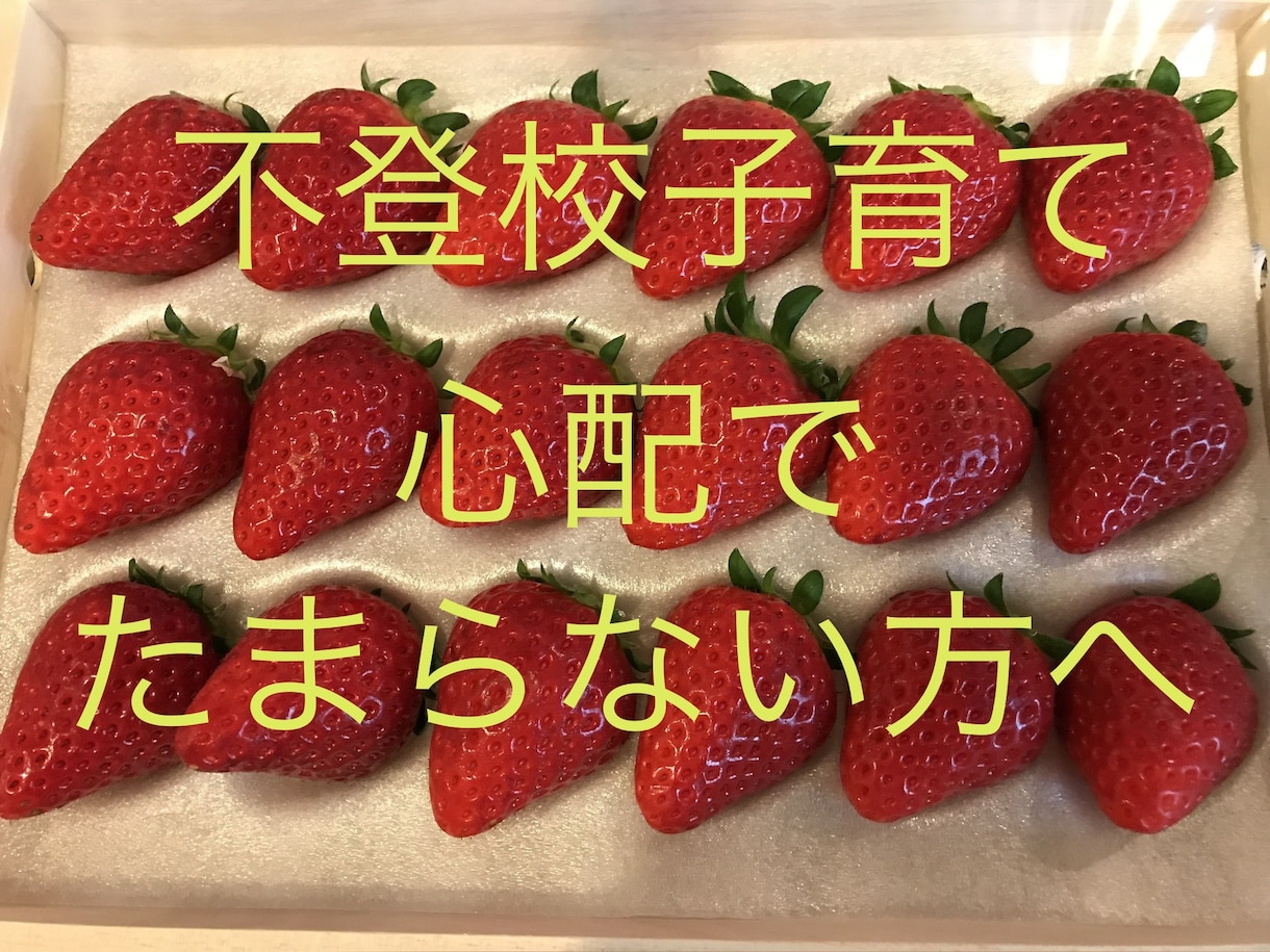 不登校･起立性調節障害･いじめ  解決策提案します 教師歴22年･我が子不登校経験有･メンタルトレーナー資格 イメージ1