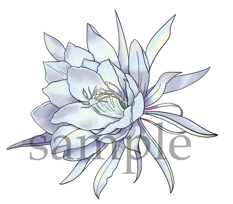 お花や葉っぱ、植物のイラスト優しいタッチで描きます ナチュラル〜リアルタッチのテイストでお花や植物をお描きします イメージ2