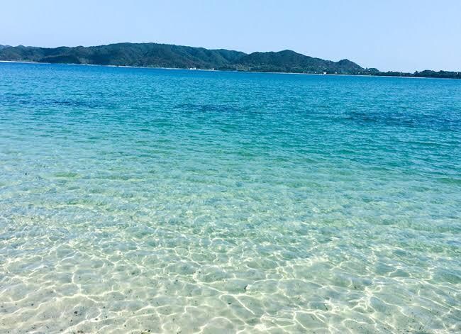 白鸛が話し相手します。何でも相談受付ますます 何でも相談を受付ます。何でも話したり相談してね！ イメージ1