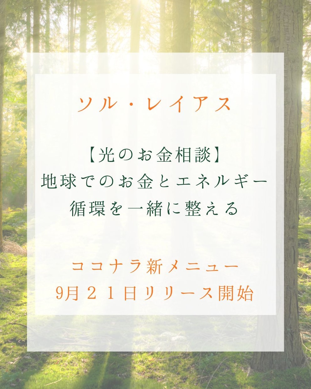 光のお金相談/不安を整え安心の循環へいざないます 心を整え、お金と光の循環をひらく時間 イメージ3