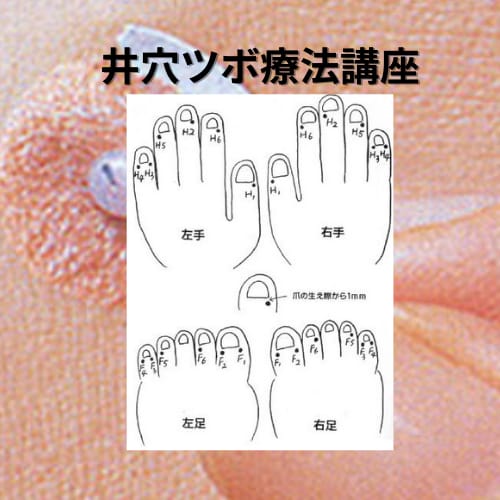 井穴ツボ療法で健康に！ます 指先のツボを刺激し自律神経を整え不定愁訴を自分でケアします！ イメージ1