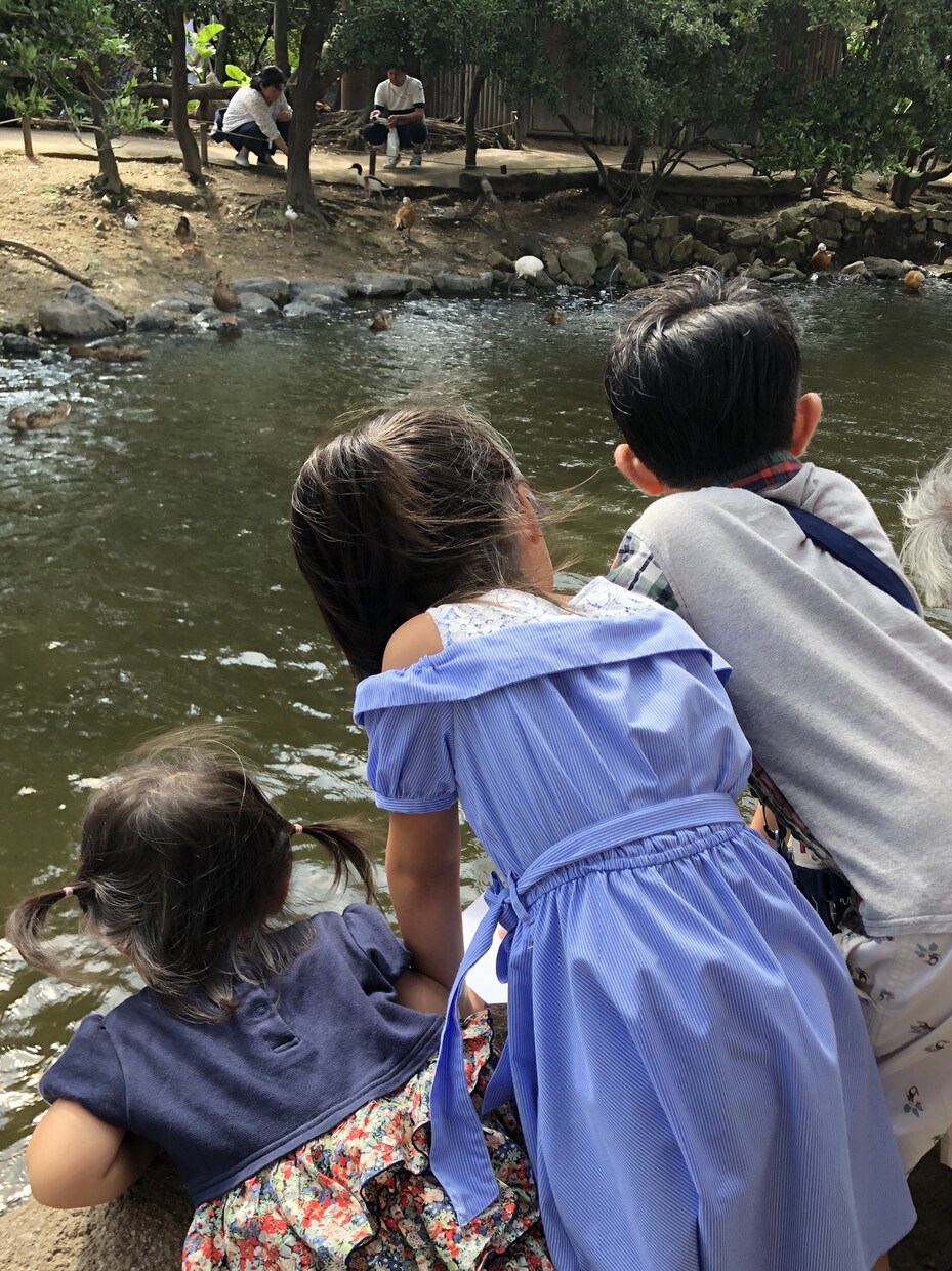 新生児から小学生まで！育児の相談にのります 4児の育児の経験を駆使して一緒に最適な解決法を見つけます！ イメージ1