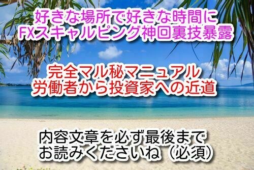 FX★この手法以外無いと思います★驚きます すべて暴露します★本当に秘密手法です イメージ1