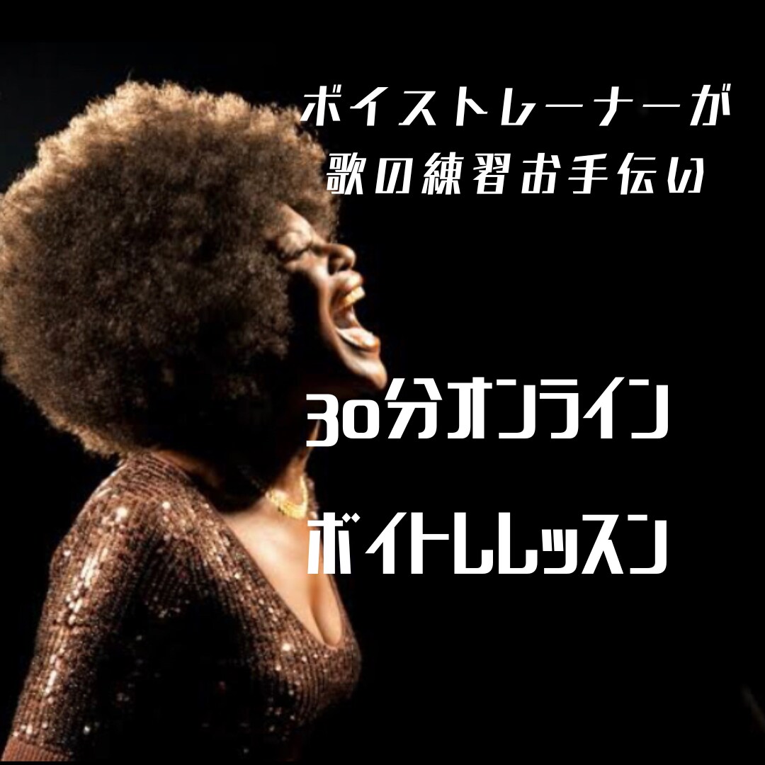 30分ボイトレ体験！歌を頑張るあなたを応援します 30分で効果あり！歌がもっと好きになる！歌の世界へようこそ！ イメージ1
