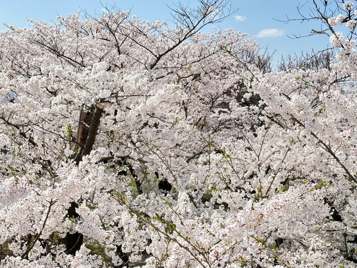 あなたの恋のお悩み聞きます 誰かに話したい思い、秘密厳守でお聞きします。 イメージ1
