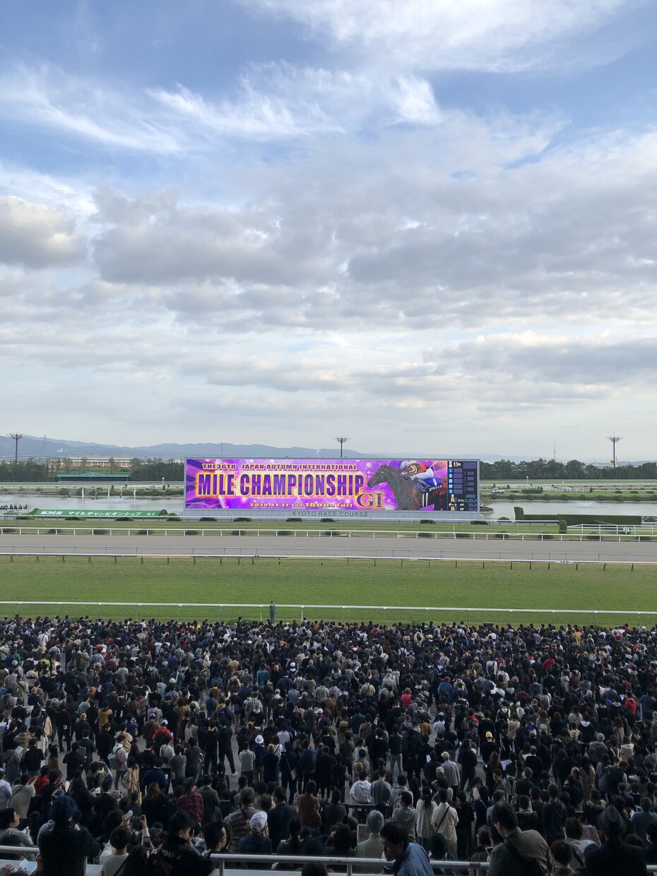 あなたの代わりに予想します 血統、適正、馬場、枠順などあらゆる面から予想します。 イメージ1