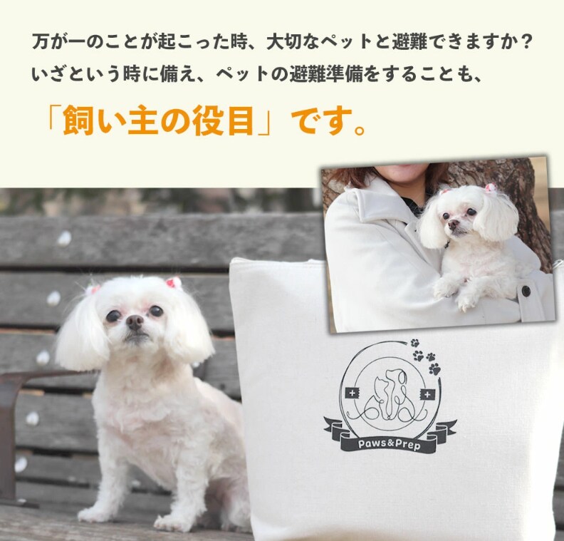 いざという時どこへ向かえばいいのか調べます 家族とペットを守る「地域別避難先リスト作成」サービス イメージ2