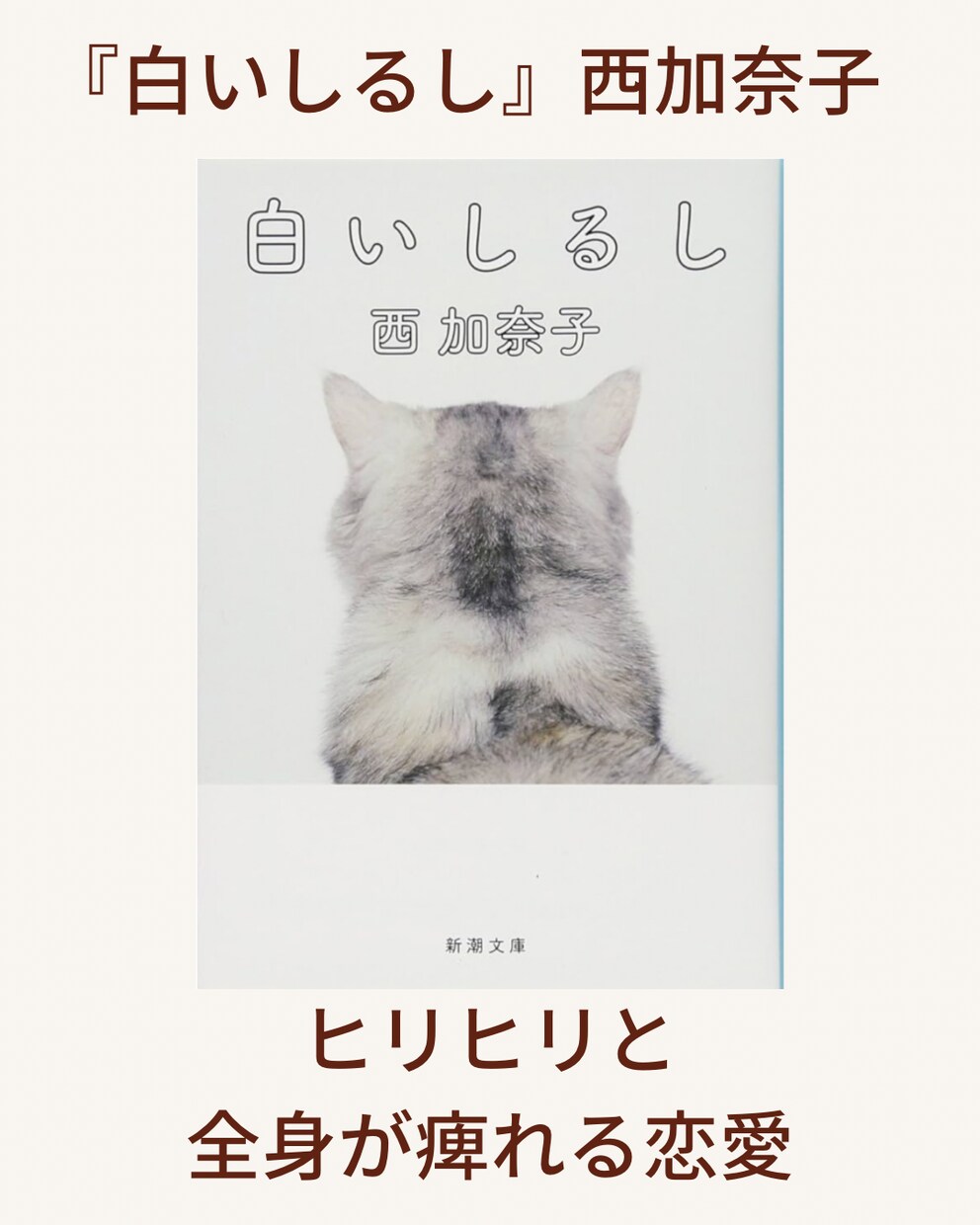 本の感想や、心に届くショートエッセイを執筆します 等身大の言葉で丁寧に伝えます！ イメージ2