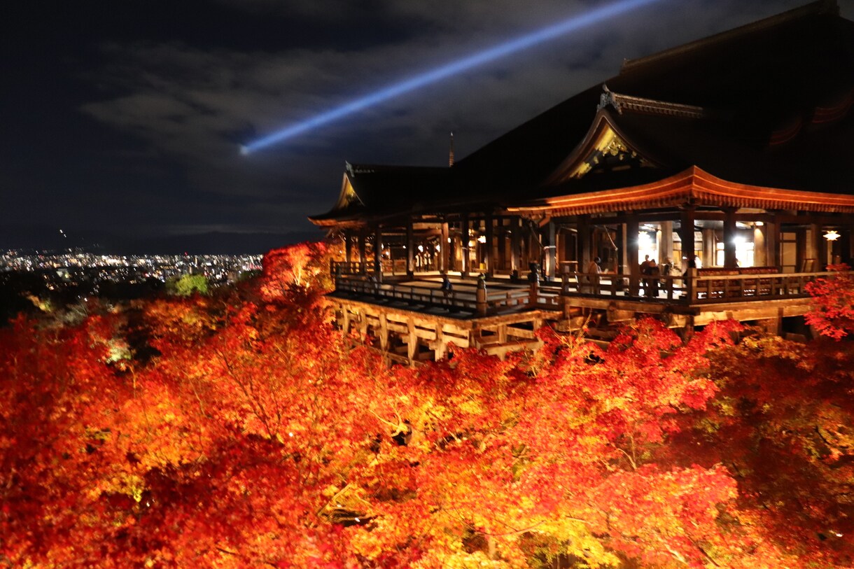 四季折々の風景をお届けします 四季折々の植物、風景や神社などの写真を提供します イメージ2