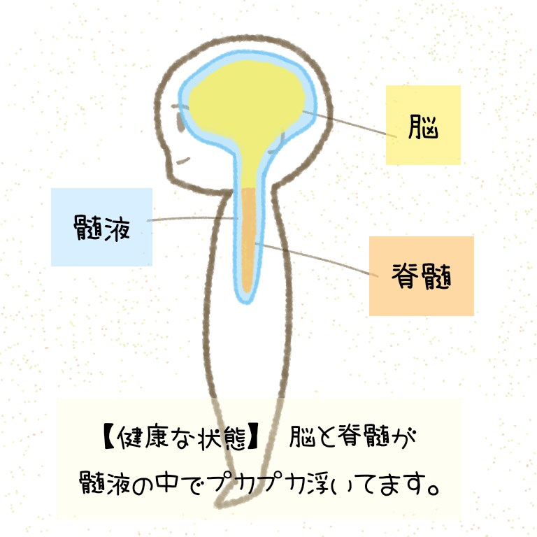 Instagram用の投稿画像作成します イラストつきでわかりやすい画像を作成♪ イメージ3