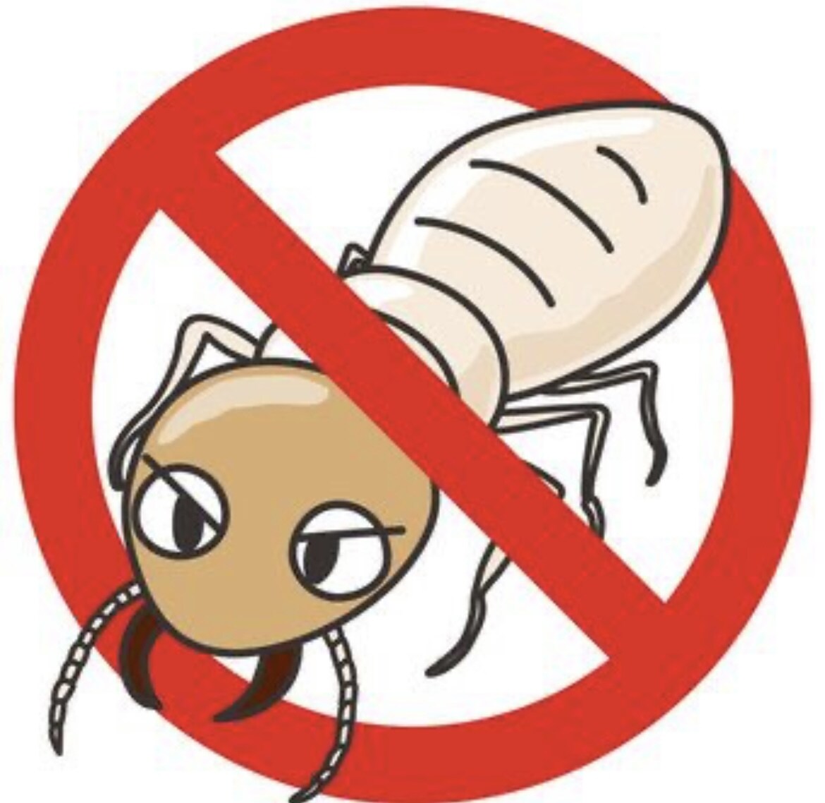 害虫に関すること何でも相談受け付けます 害虫でお困りの方、駆除方法や再発防止などご相談ください。 イメージ1