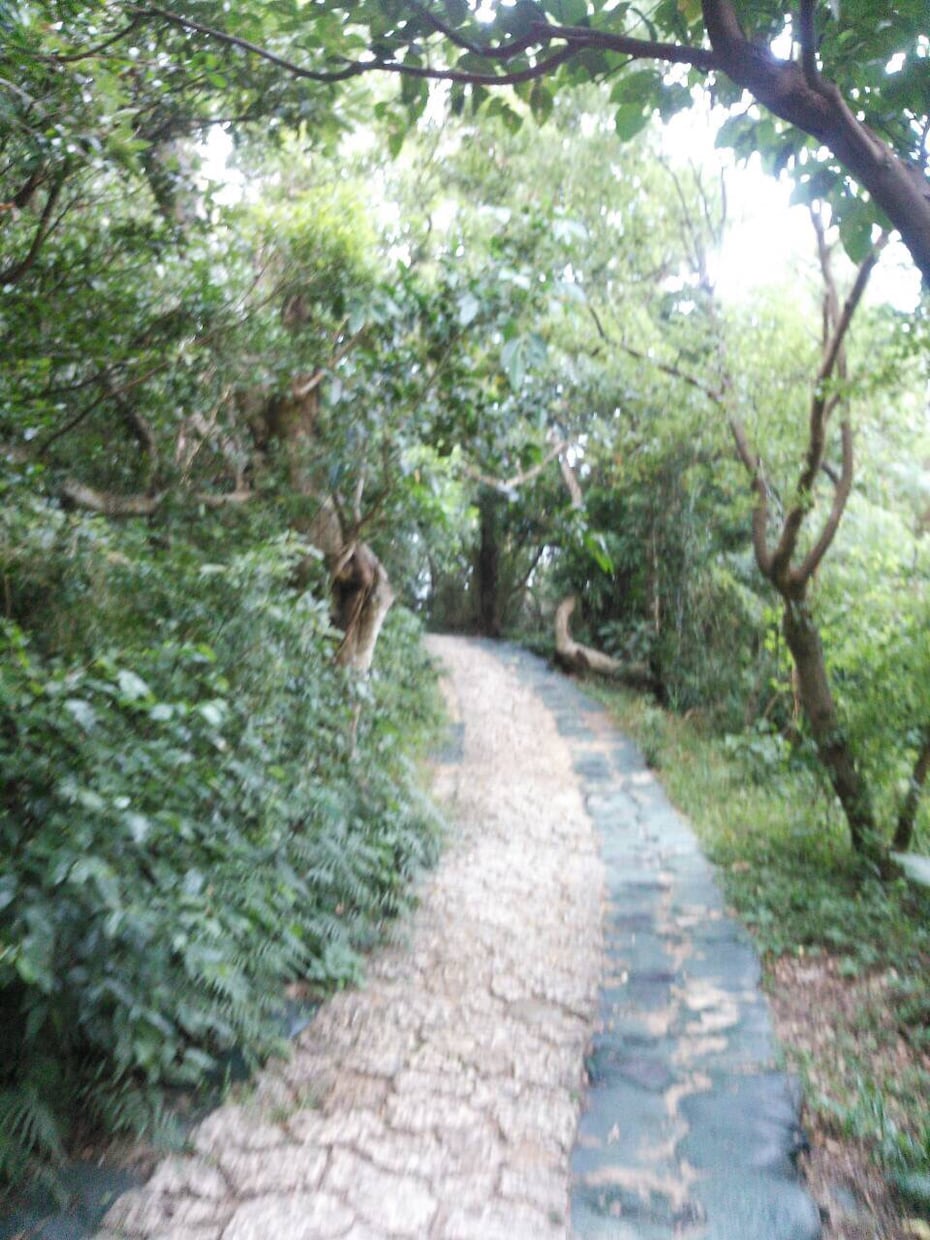 沖縄の旅を有意義に♡1日で行きたい観光スポットをスムーズに行けるルートを提案いたします♡ イメージ2