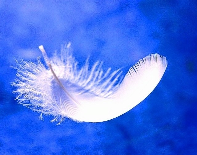 お部屋に使える風水をお伝えします 風水で貴方に幸運を招くアドバイスを イメージ1