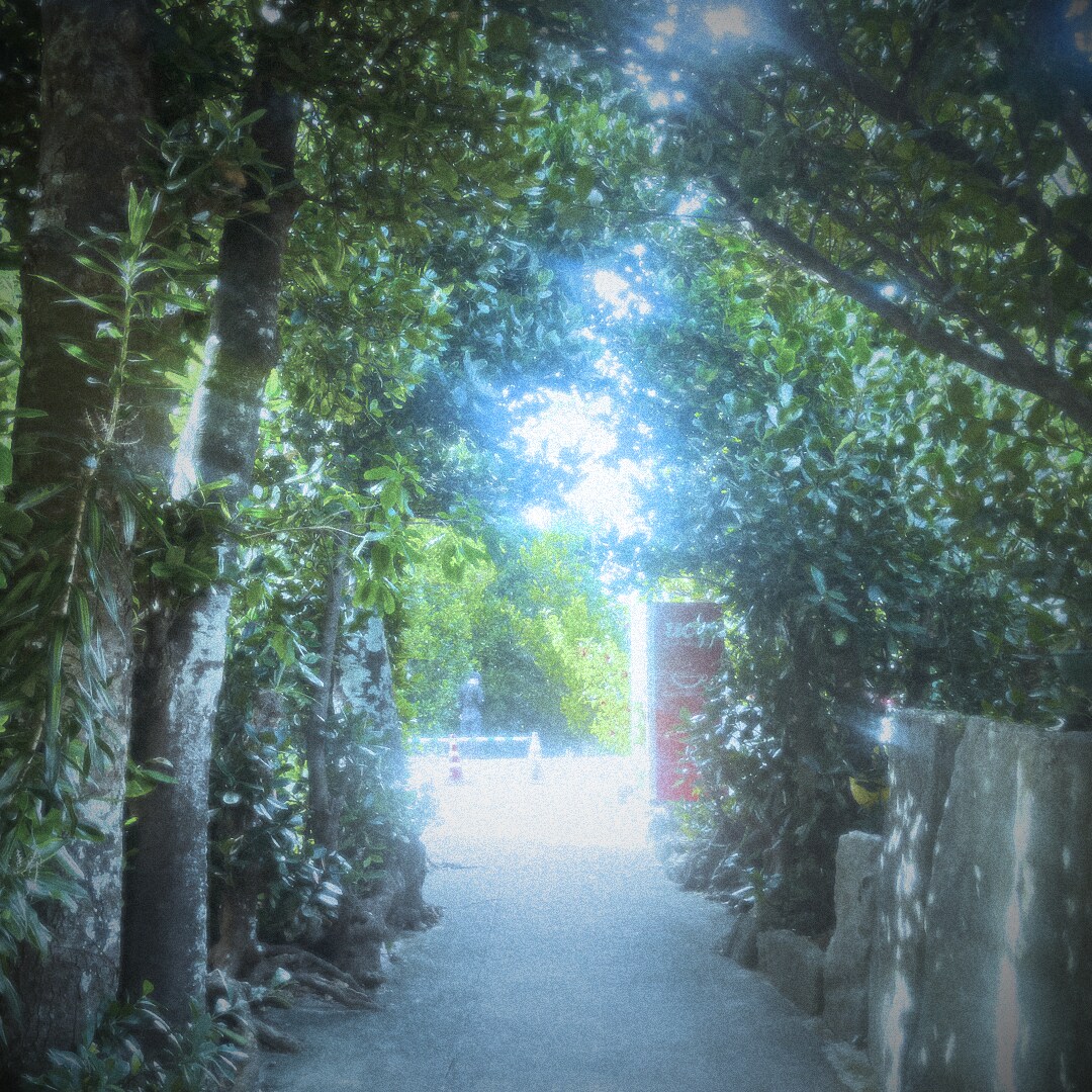 写真の加工、承ります 映画風、エモ風、ノスタルジーを感じる加工 イメージ1