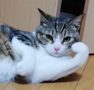 恋愛・仕事　霊感タロットでモヤモヤはらします お悩みを話してください。一緒に解決しましょう。 イメージ1