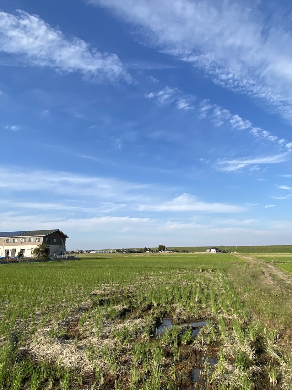 あなたの特別な写真を提供します 現役大学生が撮る非日常的な風景をお楽しみください イメージ1