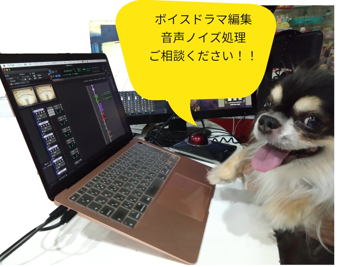 ボイスドラマ、オーディオドラマの音声編集承ります 聴きやすく、リップノイズ等除去いたします イメージ1